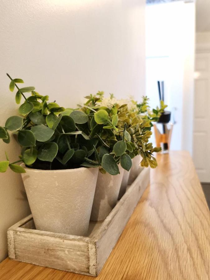 Sandalwood - By The Sea Appartement